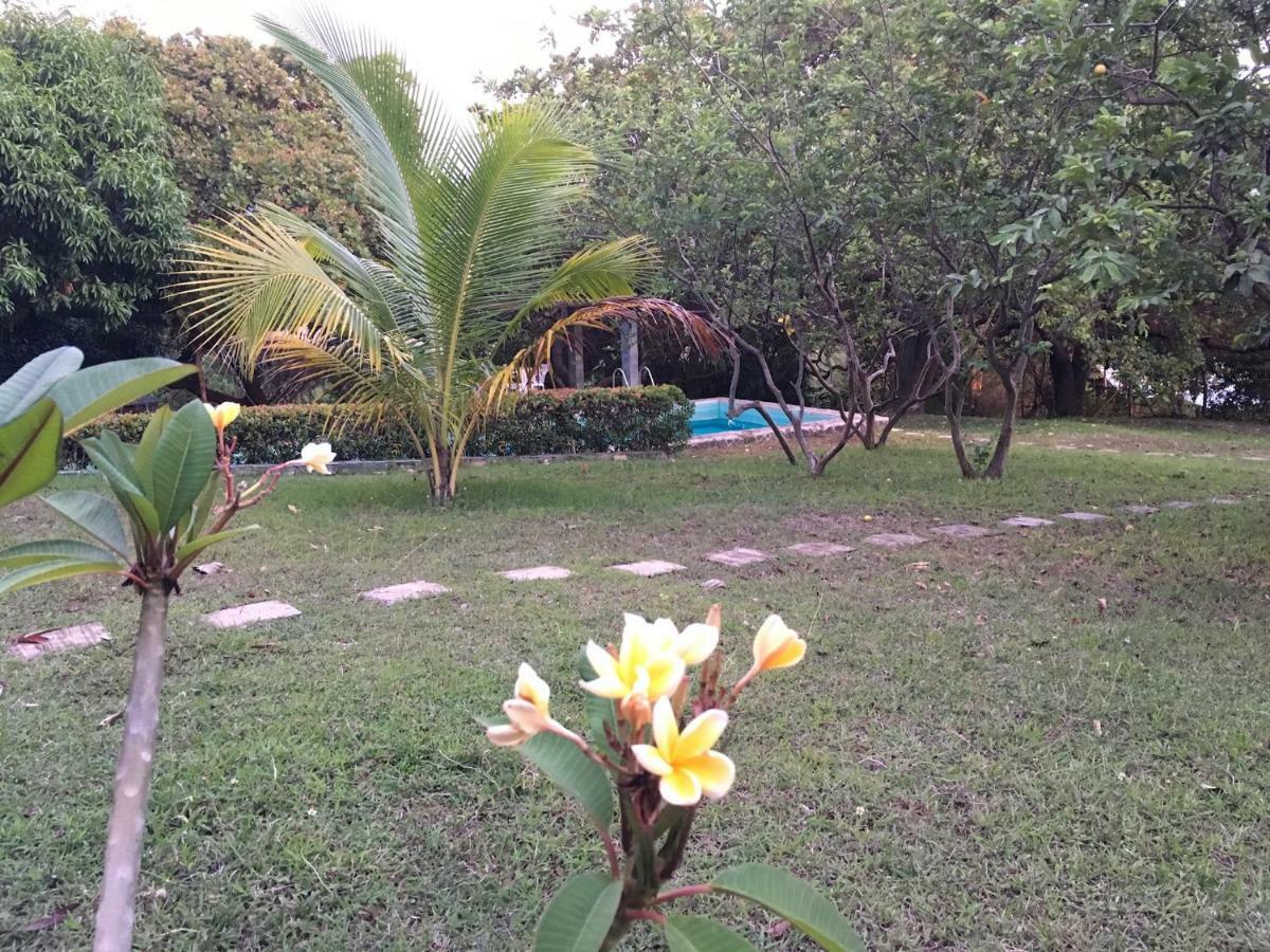 Native House With Beautiful Pool Villa Bagac Екстериор снимка